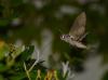 308142 – Photo : Feelzzy – France (28)